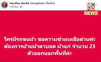 “วิกฤตแม่แตง! ศูนย์บริบาลช้างวอนช่วย ย้าย 23 ม้าตาบอด-แก่ หนีน้ำ”