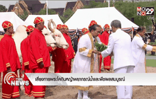 เสี่ยงทายพระโคกินหญ้าพยากรณ์น้ำและพืชผลสมบูรณ์