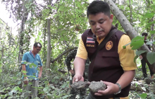 ​พบแหล่งฟอสซิลดึกดำบรรพ์แห่งใหม่ จ.เพชรบูรณ์