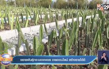 ขยายพันธุ์กระบองเพชร ขายออนไลน์ สร้างรายได้ดี