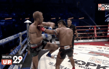 MONO29 Topking World Series 2015 TK6