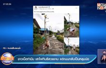 ชาวเน็ตทำมีม เสาไฟกินรีสวยงาม แต่ถนนกลับเป็นหลุมบ่อ