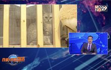 บริการรับฝากสัตว์เลี้ยงบูมในจีน