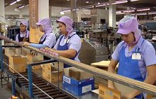 การจ้างงานในไทยค่อนข้างน่าเป็นห่วง