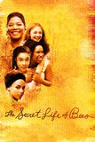 The Secret Life of Bees สูตรรักรสน้ำผึ้ง