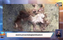 เร่งล่าคนฆ่าถลกหนังสุนัขเหลือแต่ซาก