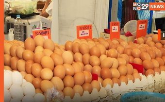 เคาะแล้ว! ตรึงราคาไข่ไก่หน้าฟาร์ม 2.90 บาท ห้ามขึ้นราคาจนกว่าสถานการณ์คลี่คลาย