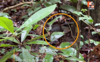 ลอบกัดไม่เลิก! กัมพูชาลอบวางระเบิดแสวงเครื่องละเมิดข้อตกลงฯ รุกล้ำดินแดนไทย