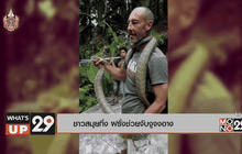 ชาวสมุยทึ่ง ฝรั่งช่วยจับงูจงอางโผล่ห้องน้ำ