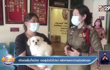 เจ้าของยิ้มทั้งน้ำตา เจอสุนัขตัวโปรด หลังหายจากบ้านช่วงฝนตก