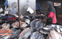 ผลกระทบคลื่นลมแรงภาคใต้