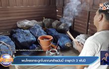 พบโครงกระดูกโบราณคล้ายมัมมี่ อายุกว่า 3 พันปี