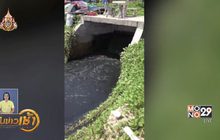 ผลกระทบน้ำเสียทะลักลงทะเลหาดจอมเทียน