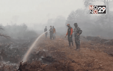 อินโดฯ เผยบริษัทจีน-มาเลย์เอี่ยวเหตุไฟป่า