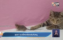สุดฮา แมวขี้เหงาต้องเล่นกับหนู