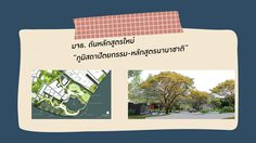 มจธ. ดันหลักสูตรใหม่ ภูมิสถาปัตยกรรม-หลักสูตรนานาชาติ หนึ่งเดียวในไทย มุ่งสร้างภูมิสถาปนิกออกแบบเพื่อความยั่งยืน