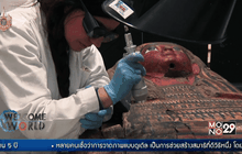 พิพิธภัณฑ์อียิปต์ในอิตาลี