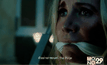 หนุ่มอเมริกันสุ่มฆ่าเหยื่อโหด อ้างได้แรงบันดาลใจจากหนัง “The Purge”