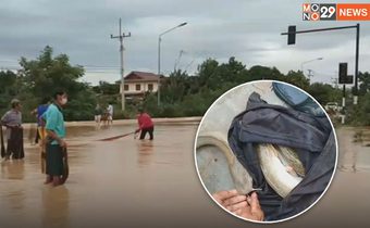 “พลิกวิกฤต ให้เป็นโอกาส” ชาวบ้านแห่จับปลากลางแยกไฟแดง มาทำอาหาร