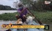 ไทยก็มี ! “หมู่บ้านประมงแมว” จ.สุราษฎร์ธานี