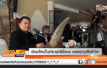 เชียงใหม่ไนท์ซาฟารีชี้แจง แรดขาวเสียชีวิต