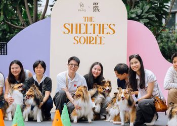 มากกว่าพื้นที่ แต่คือโมเมนต์ดีๆ เดอะ ปาร์ค รวมพลเชลตี้ ในงาน “The Shelties Soirée” เติมเต็ม Pet-Friendly Community ใจกลางเมือง