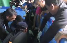 ย้าย “มาเรียม” ขึ้นฝั่ง ยังอ่อนแอต้องดูแลใกล้ชิด