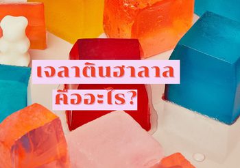 เจลาตินฮาลาลคืออะไร และมีประโยชน์ต่อร่างกายหรือไม่ มาหาคำตอบกัน!