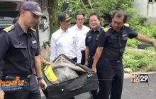 จับชาวมาเลเซียขนสัตว์ป่าข้ามชาติ