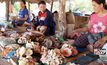 จ.อำนาจเจริญ ตลาดเห็ดป่าคึกคัก