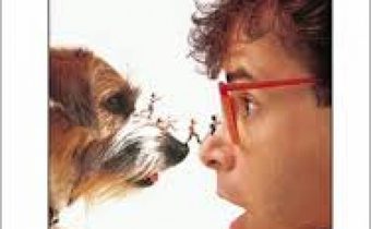 Honey, I Shrunk the Kids 4 จิ๋วพลิกมิติมหัศจรรย์