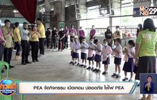 PEA จัดกิจกรรม เปิดเทอม ปลอดภัย ใช้ไฟ PEA
