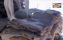 พิษเศรษฐกิจกระทบส่งออกไม้ยางลด 40%