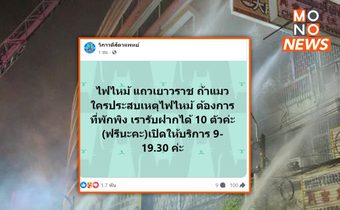 วิภาวดีสัตวแพทย์ เปิดใจรับฝากสัตว์เลี้ยงผู้ประสบภัยไฟไหม้เยาวราช ฟรี 10 ตัว