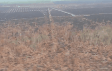 ผลกระทบไฟป่าอินโดนีเซีย