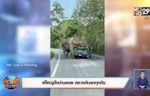 พี่ใหญ่ตั้งด่านลอย ตรวจค้นรถทุกคัน