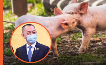 ก.เกษตรเคลียร์ชัดไม่ปกปิดแจงตอบทุกประเด็นโรค ASF ในหมู เร่งช่วยเกษตรกรด่วน
