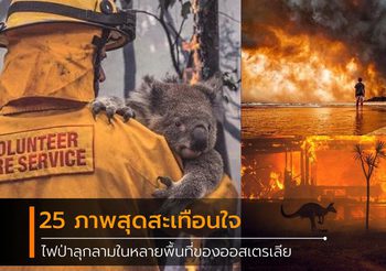 รวมภาพไฟนรกกำลังเผาไหม้ในหลายพื้นที่ของ ออสเตรเลีย ส่งผลให้สัตว์ป่าล้มตายกันเป็นว่าเล่น