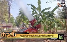 คุณภาพอากาศภาคเหนือเกินค่ามาตรฐาน