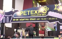 PET EXPO THAILAND 2017