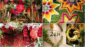 บานสะพรั่ง!! สาวๆ แห่ถ่ายเซลฟี่คึกคัก ดอกไม้นานาพรรณนับล้านดอก ณ ห้างเซ็นทรัล