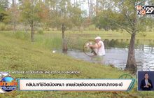 คลิปนาทีชีวิตน้องหมา ชายช่วยงัดออกมาจากปากจระเข้