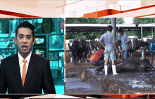 Motion News Break 4 (11-10-58)