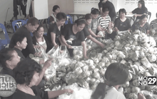 ชาวตรังส่งผลไม้แจก ปชช.ถวายบังคมพระบรมศพ