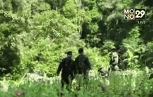 บุกทลายไร่ฝิ่นป่าอนุรักษ์ จ.แม่ฮ่องสอน