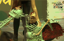 ฟิลิปปินส์จัดประกวดชุดฮัลโลวีนสัตว์เลี้ยง