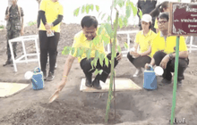 ถวายในหลวงครองราชย์ 70 ปี