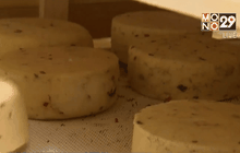 กิจการผลิตชีสในรัสเซียกำลังเติบโต