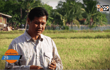 Good Morning Thailand 23-01-59