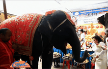 ชมรมเจฯ จัดงานโต๊ะเจช้างครั้งแรกของโลก